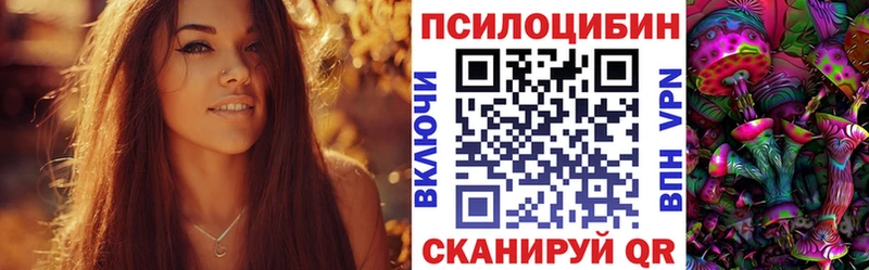 кракен как войти  Пионерский  Галлюциногенные грибы Psilocybine cubensis 